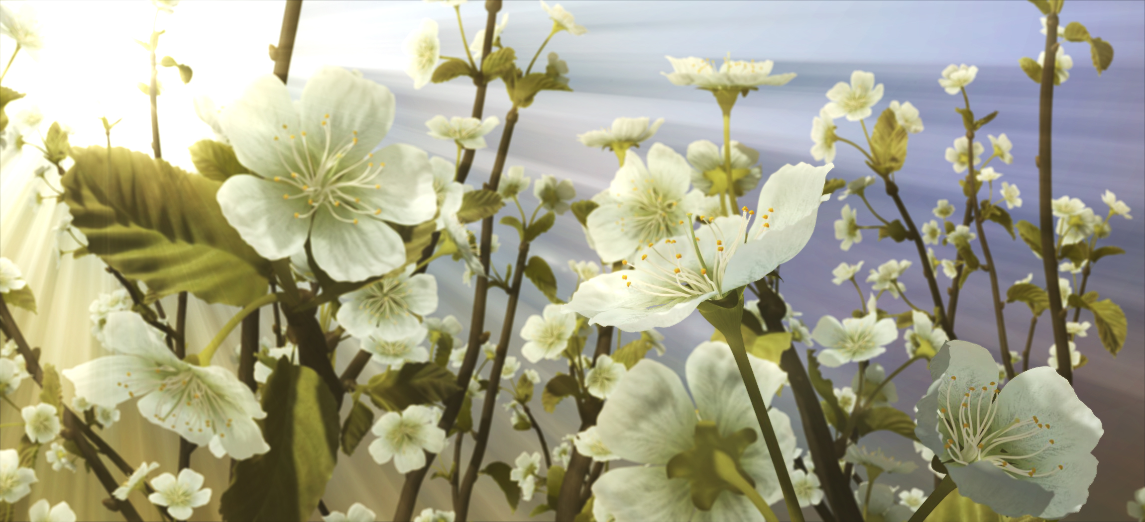 Flowers · Hochzeitsprojektion